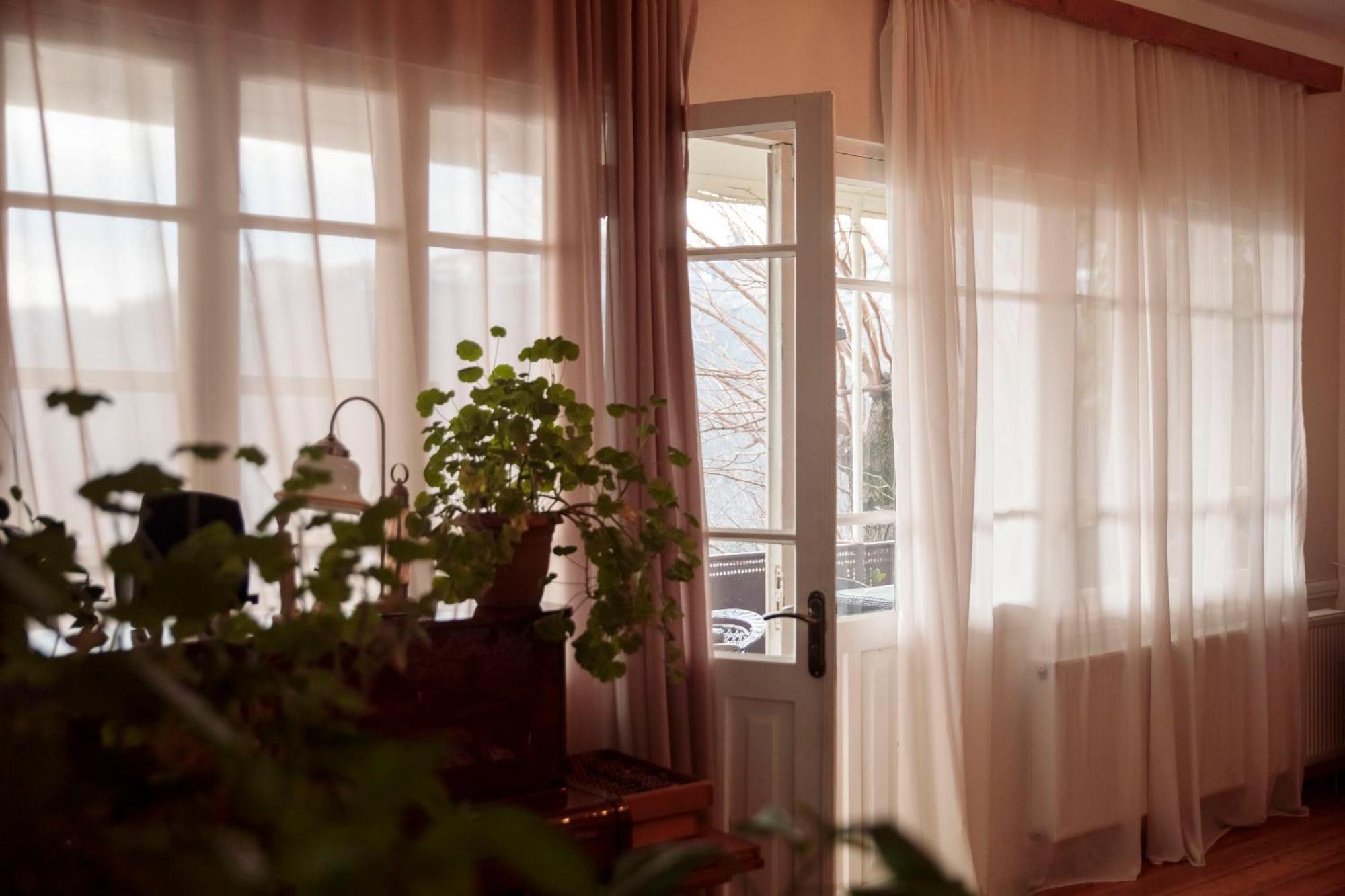 Tuta House Sighnaghi Hotel ภายนอก รูปภาพ